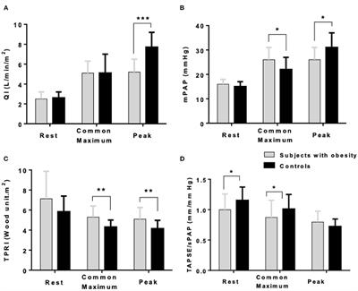 Right ventricular-pulmonary arterial coupling impairment and exercise capacity in obese adults